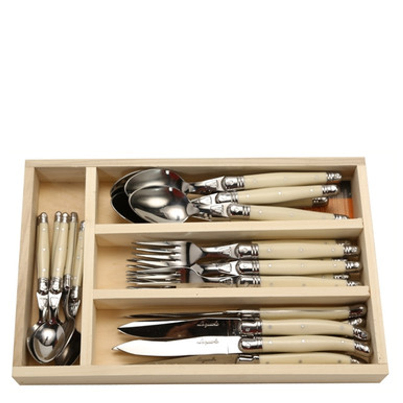 Jean Dubost 24 Pc Everyday Flatware Set with Ivory Handles in a tray