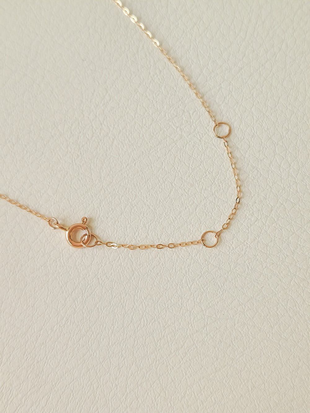 14K Gold fish Charm Necklace